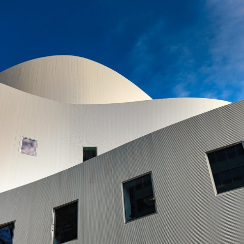 Zdjęcie: Biophilic design w domu: jak wprowadzić naturę do wnętrza